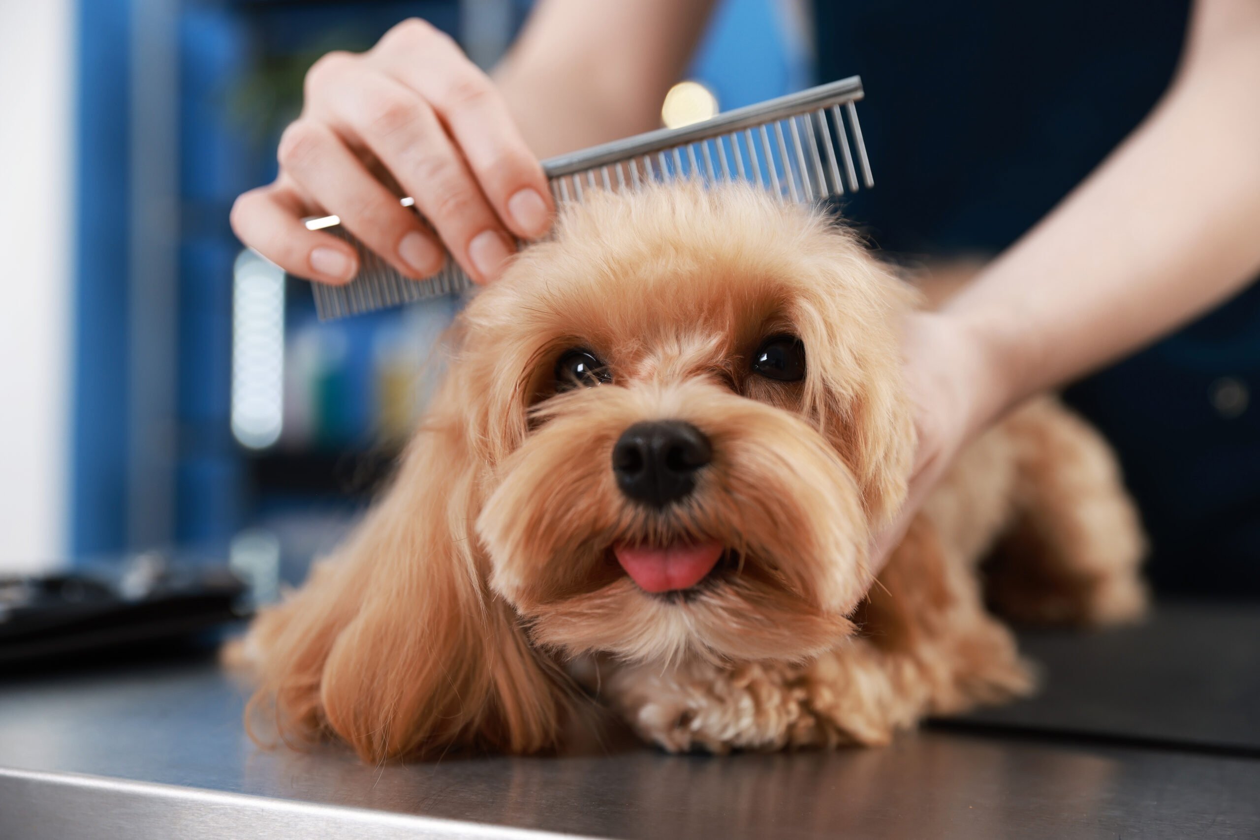 Extra verzorging met aandacht